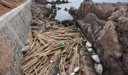 白竹形象最新爆料图片,惊艳亮相，时尚魅力再升级